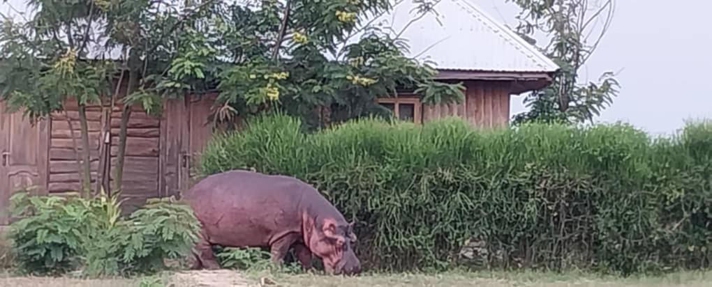 Tembo Safari Lodge Katunguru Eksteriør billede