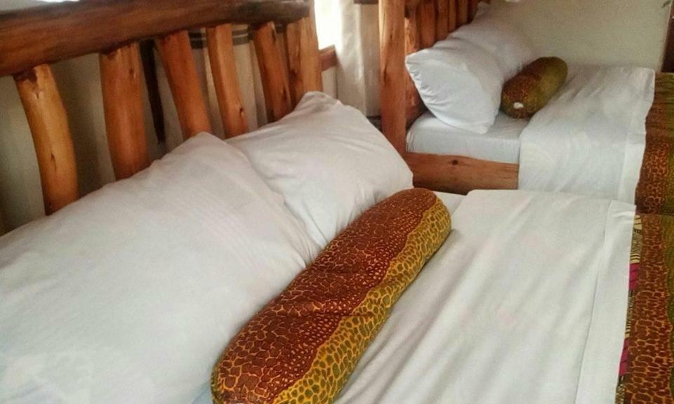 Tembo Safari Lodge Katunguru Eksteriør billede